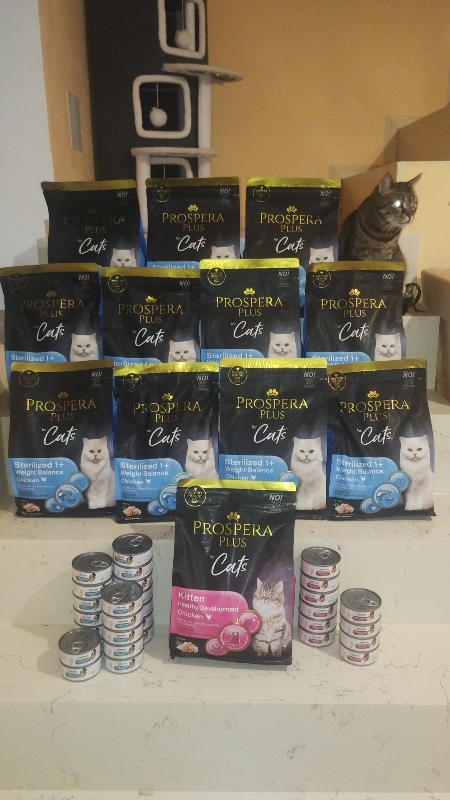 Kočičí naděje z.s.